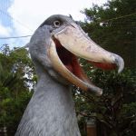 ryos