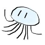 クラゲ