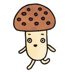 きの