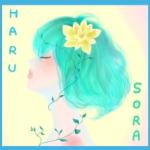 harusora（陽蒼空）