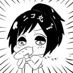 ニコ丸