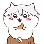 userPhoto
