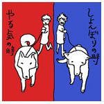 kochimo