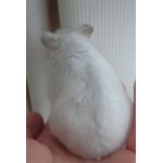 userPhoto
