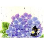 いまやす
