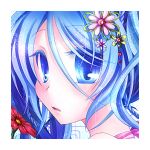 菖蒲