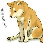 userPhoto