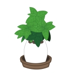 雑草ばじる