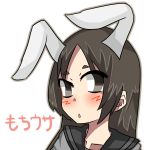 もちウサ