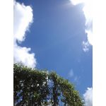 userPhoto
