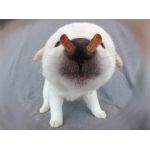 やまちぃ