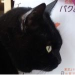userPhoto