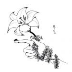 なぽりん