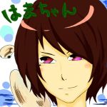 野良めがね