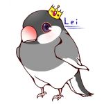 Lei