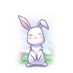 ゆきまる