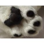ねこぱんち