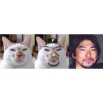 ぽんたくーーーーーーーーーーーん