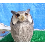 ウイスキ