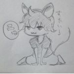 すたいる