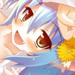 ペッコの仲間