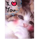 苑-えん-