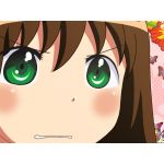 いなちんさん