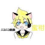 蜜柑