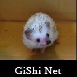 ぎし