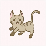 userPhoto