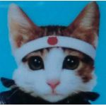 又吉(Taku)