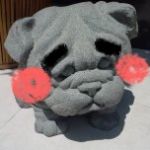 onちゃん