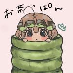 お茶っぱん