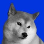 ユーザー画像