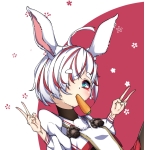 ねこぼうし