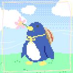 ピマ