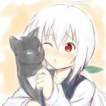 浮動紅葉サァド