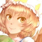えすべがす
