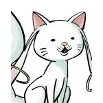 さぬき