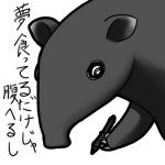 夏深　青