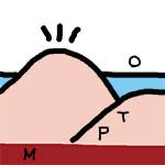 pmot