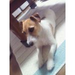 音宮なつめ