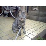 なおやん