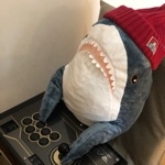 かてぃ