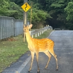 きょーへー