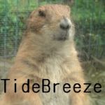 T.B.