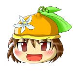 シトロン