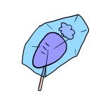 ヒカル