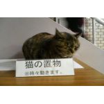 ヤファ