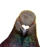 ぽいつん